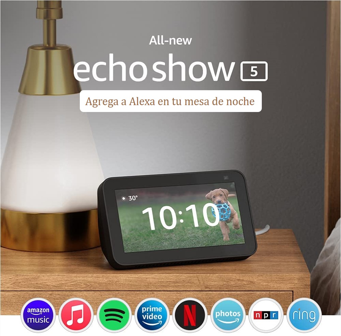 Echo show 5 Guatemala